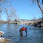 A volunteer takes a water sample on the Crow Indian Reservation. MSU photo.