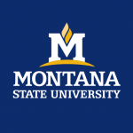 Montana State University Logo
