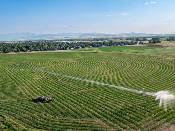 An aerial view of a tractor and irrigation system in a hay field. | MSU photo by Colter Peterson