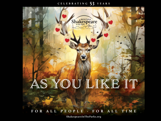 MSIP As You Like It Poster