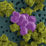 An high-resolution image of molecules