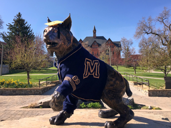 Spirit the Bobcat statue in a blue graduation sweater and gold mortarboard | 