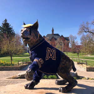 Spirit the Bobcat statue in a blue graduation sweater and gold mortarboard