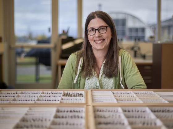 Casey Delphia posting in front of several bee specimens. | MSU Photo by Colter Peterson
