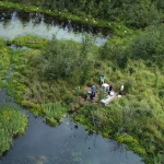 Aerial photo of a group of people working along a stream in Alaska.