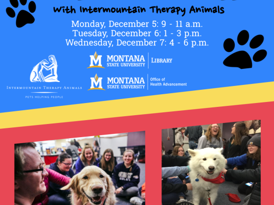 Paws to De-Stress at MSU Library