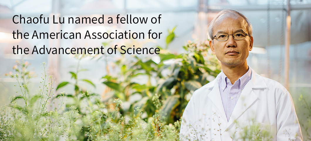 Man in a white labcoat wearing glasses standing amid tall plants in a greenhouse.  | MSU