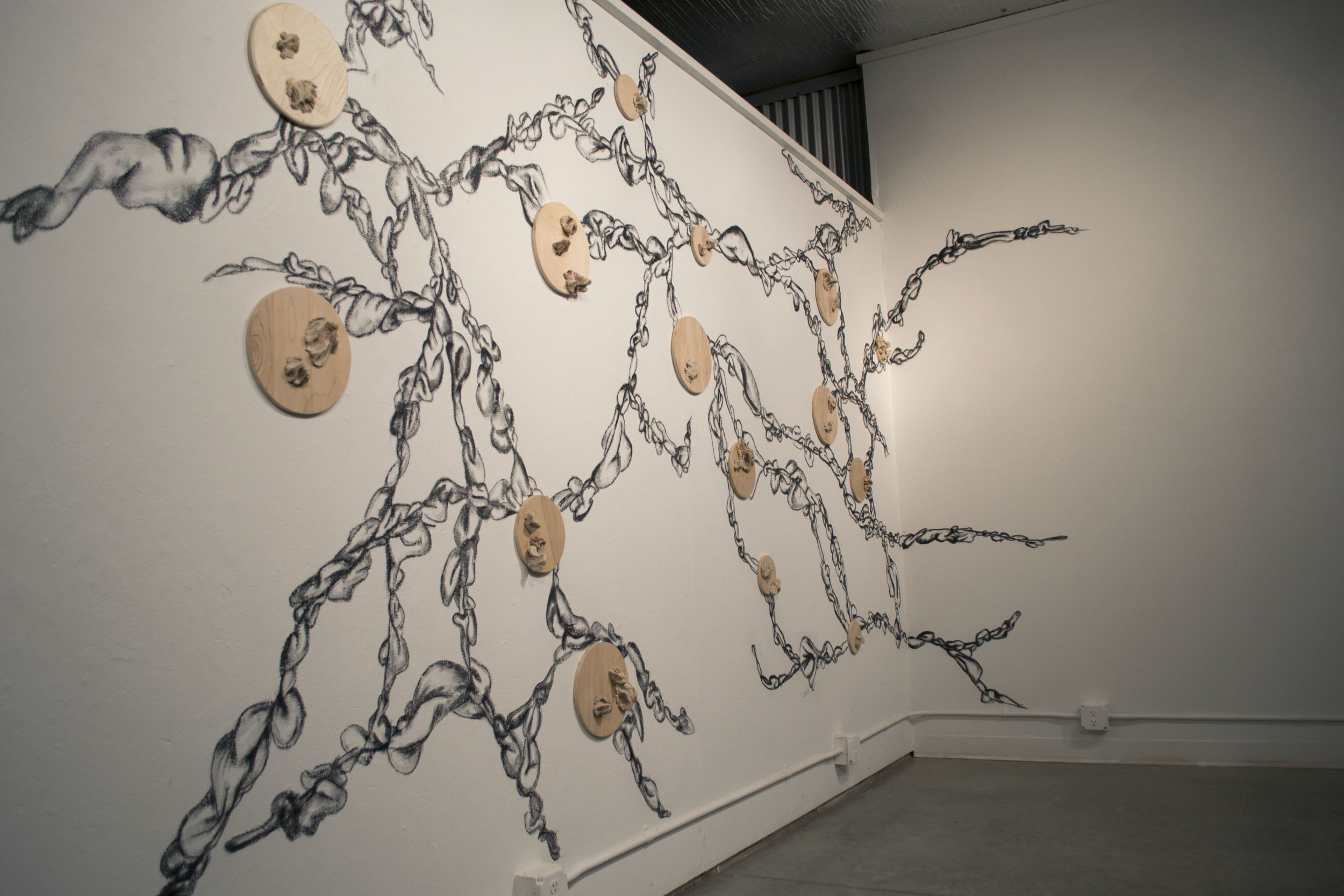 Reception for Ontogenesis:Megan Sprenger, MFA | MSU Event