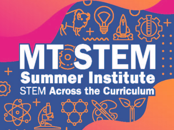 STEM Summer Institute