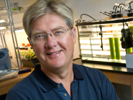 Image of Dr. Brent Peyton