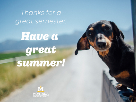 Have a great summer! | 