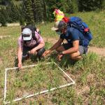 A man and woman collect samples on a grassy hillside while wearing face masks.