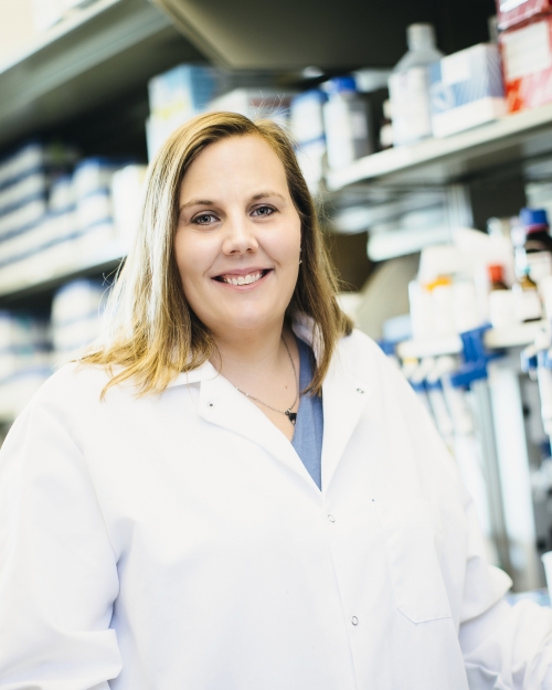 MSU Animal Science Professor Uses Genetics To Find Answers In Dairy