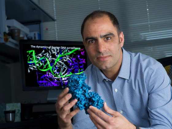 Blake Wiedenheft holding a model of a molecular structure | MSU photo by Kelly Gorham