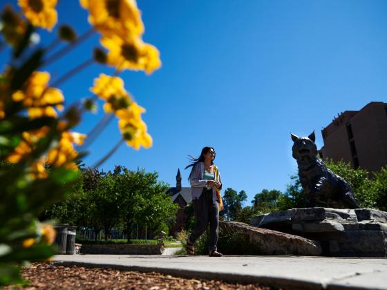 Flowers bloom in the foreground as a girl walks past a bronze statue of a bobcat | MSU photo by Colter Peterson