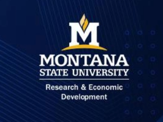 Research and Economic Development Logo