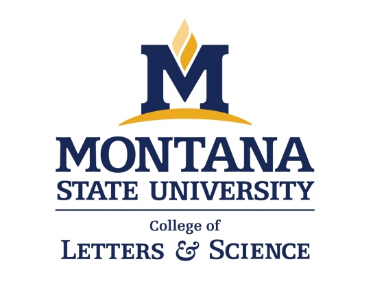 College of Letters & Science News Logo | MSU