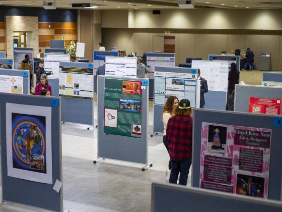 Posters are displayed on fabric covered dividers spread throughout a room as people mill about and look at them. | MSU photo by Colter Peterson