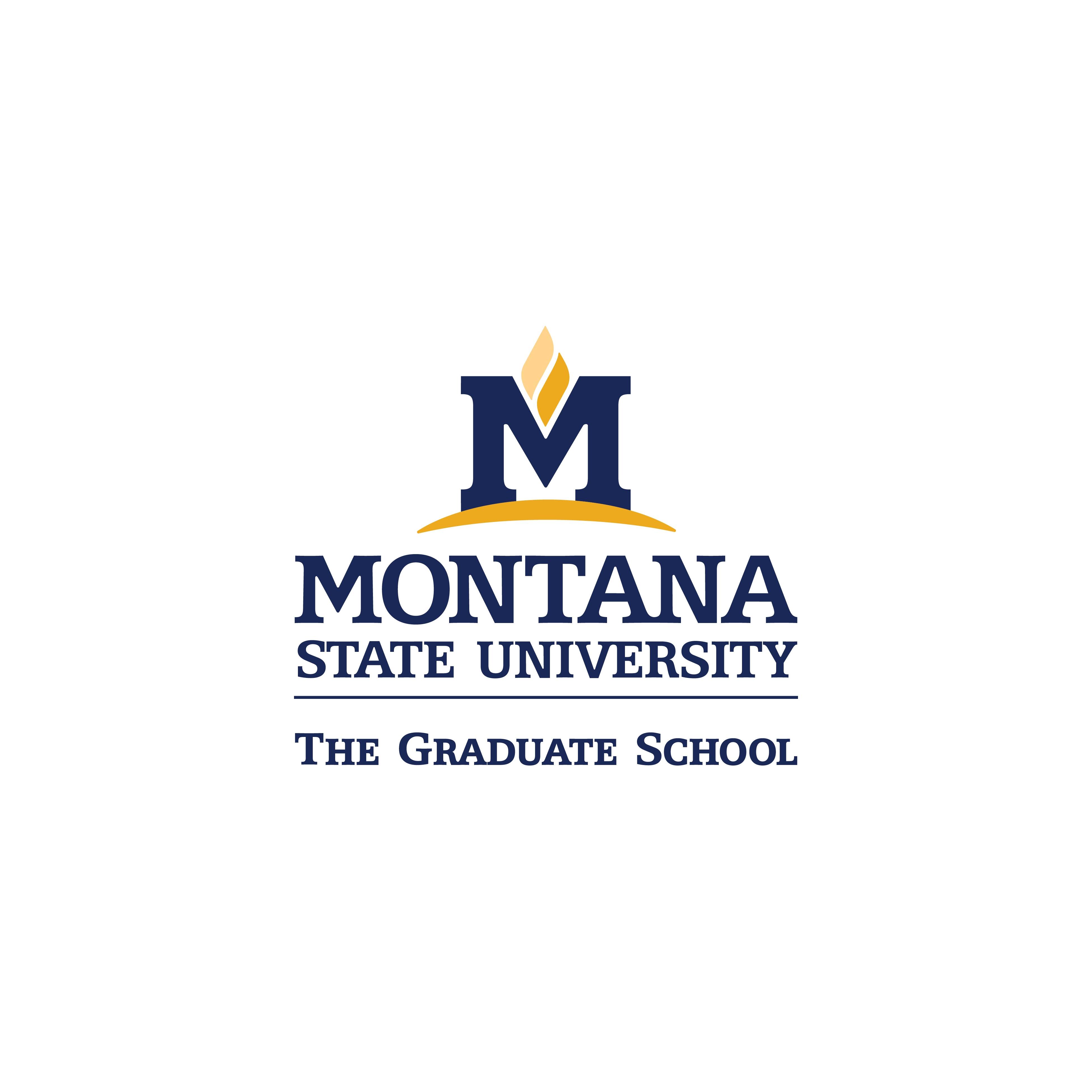 Dissertation thesis youngstown state university