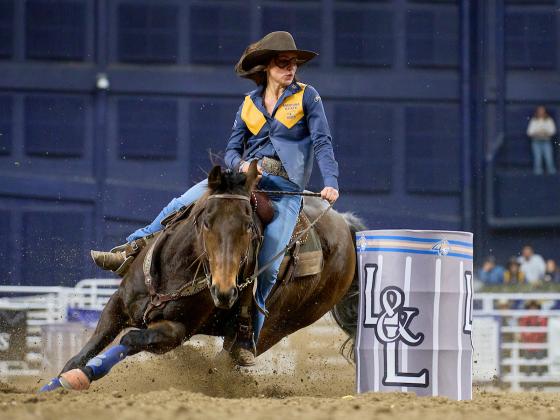A woman on a horse competing in barrel racing | MSU photo by Colter Peterson