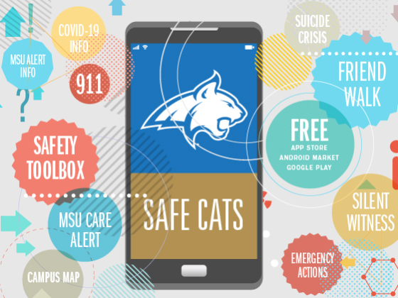Image of SafeCats App landing screen | 