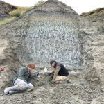 Two people digging in front of a rock formation