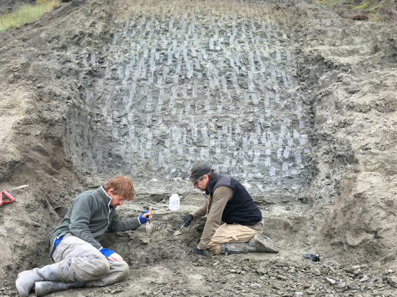 Two people digging in front of a rock formation | 