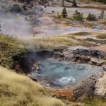 Photo of a steaming pool of water in Yellowstone National Park surrounded by grasses with other pools in the background.