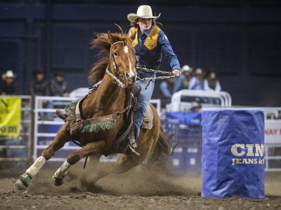 Spring Rodeo Image