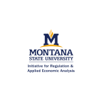 logo for MSU IRAEA