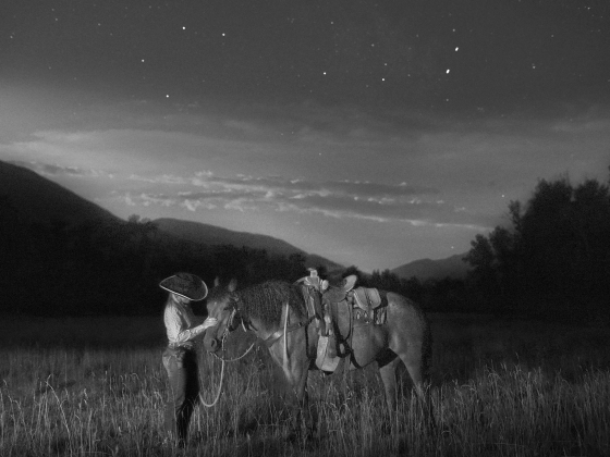 A black and white photo of a person next to a horse. | Photo provided.