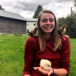 A young woman in a red sweater holds three baby chickens