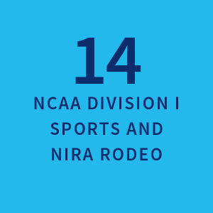 14 NCAA Division I Sports and NIRA Rodeo | 