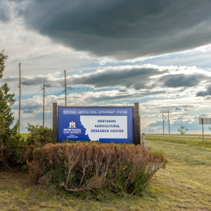 Signage at the Northern Ag Research Center in Havre