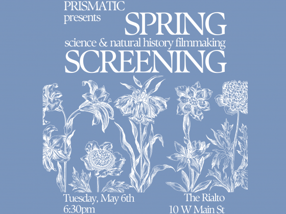 Prismatic presents, Science and Natural History filmmaking Spring Screening, Tuesday, May 6th 6:30 pm, The Rialto 10 W Main St, free entry, public welcome, documentary films, Montana State University School of Film and Photography