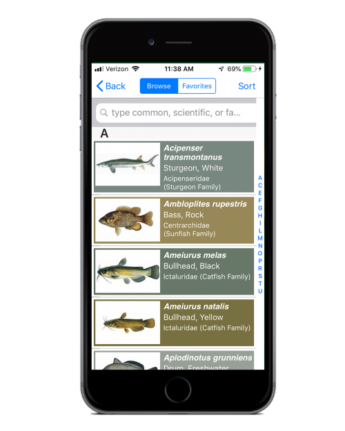 Fishes of Montana app brings field guide to mobile devices