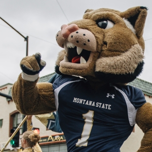 2017 Homecoming Preview