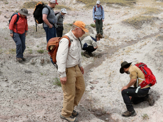 Led by paleontology experts, explore the 75-million-year-old site where the first dinosaur babies were found.