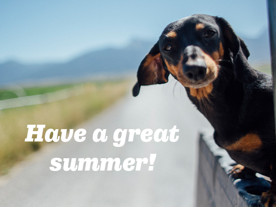 Have a great summer! Photo of dog in hanging outside of a truck on a Montana back road.  | 