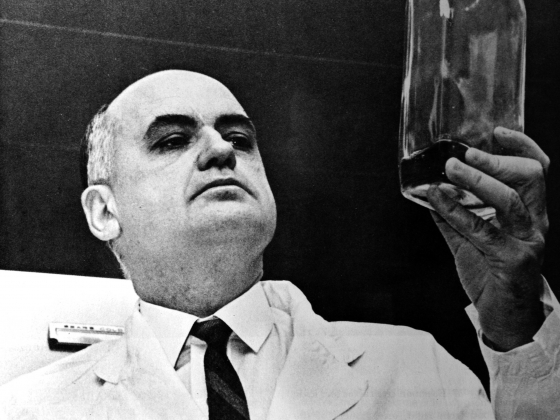 Maurice Hilleman inspecting fluid in glassware