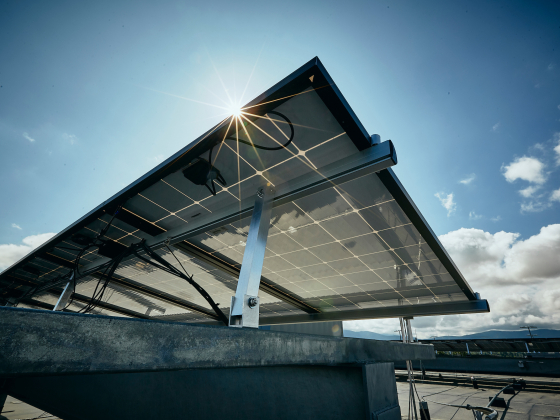 A view of solar panels with a sun flare in the background