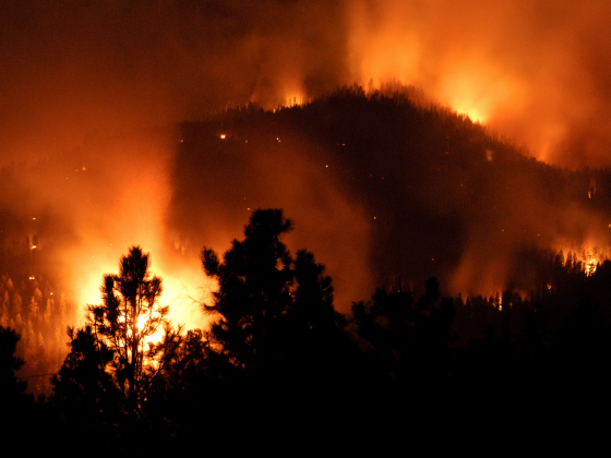 flames from a wildfire at night | MSU photo by Kelly Gorham