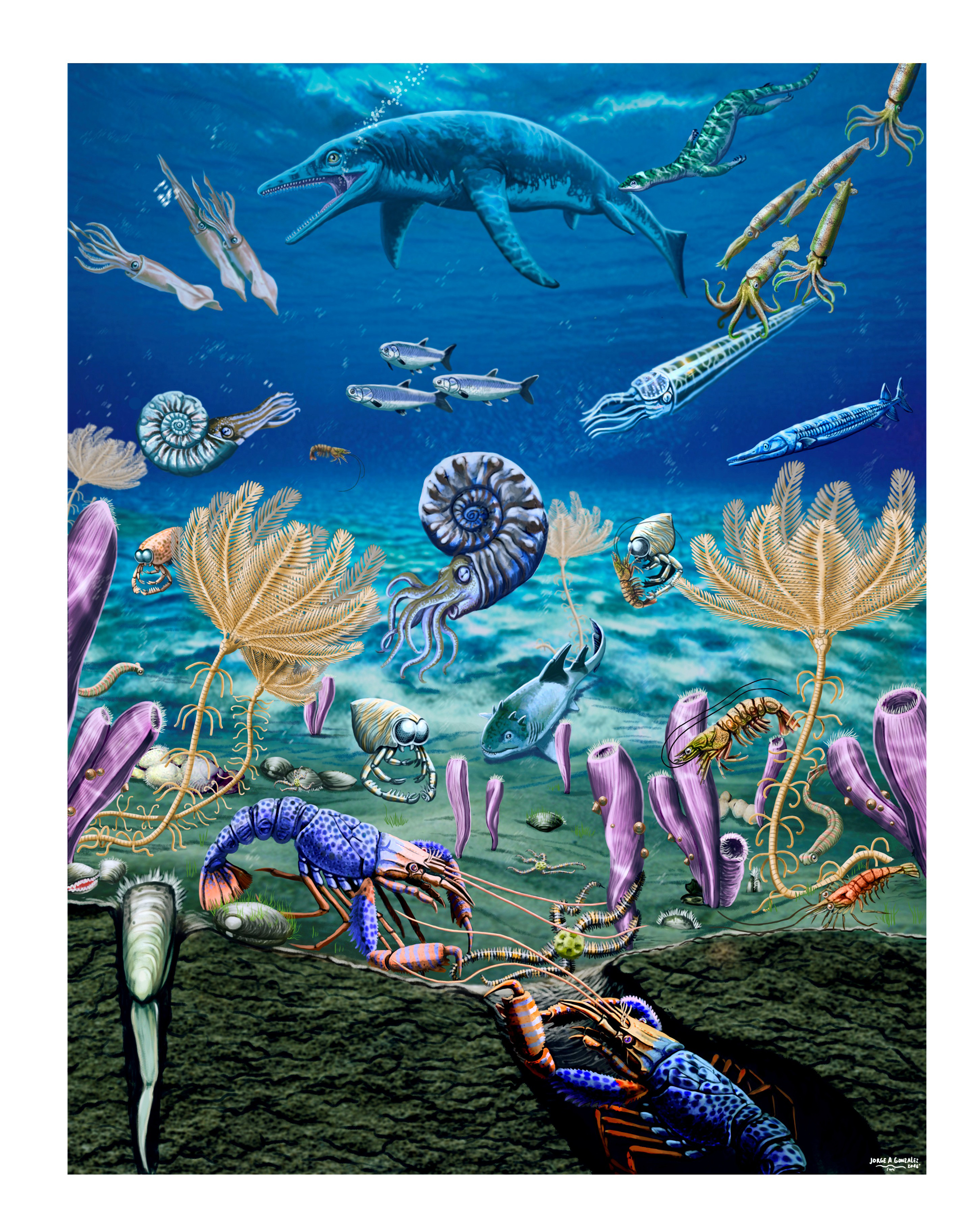 Мелкие живые существа. Триасовый Кембрийский. Триасовый период морская жизнь. Море Триасового периода. Океан Триасового периода.