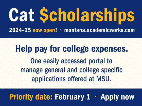 Cat Scholarship Portal is Now Open | 
