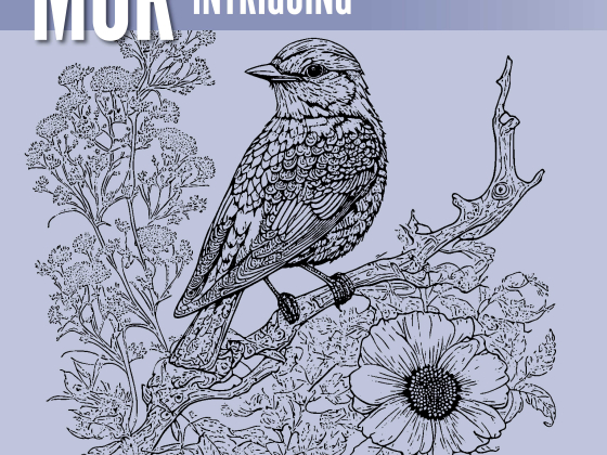 Stencil of bird on a branch with poppy flowers