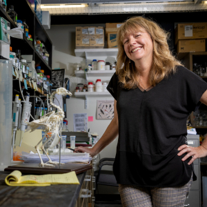Dana Rashid standing next to a chicken skeletal model in a lab.