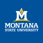 MSU Logo