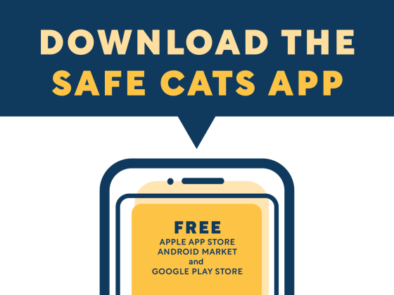 Safe Cats App | 