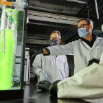 Three scientists observe a water tank with test tubes holding green algae samples.