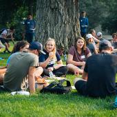 Students eating lunch under a tree